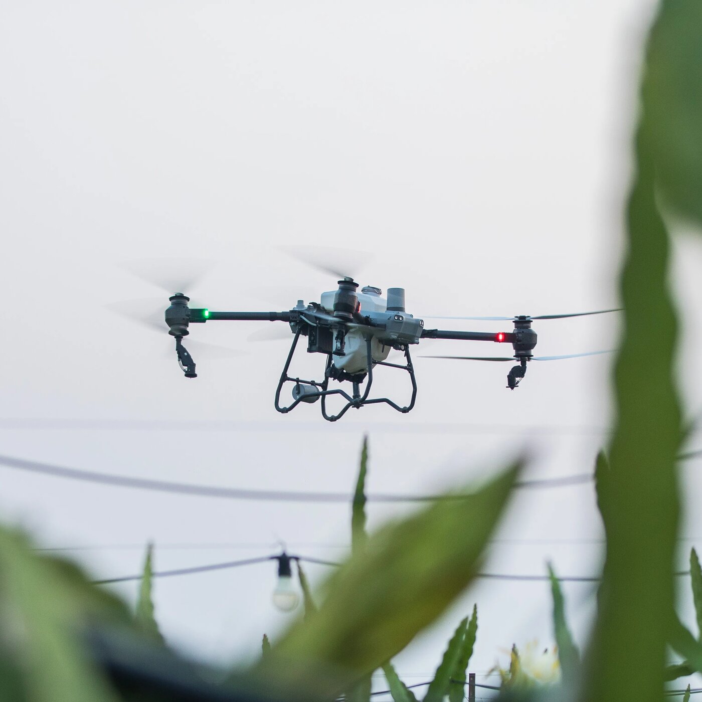 DJI T50 Drone