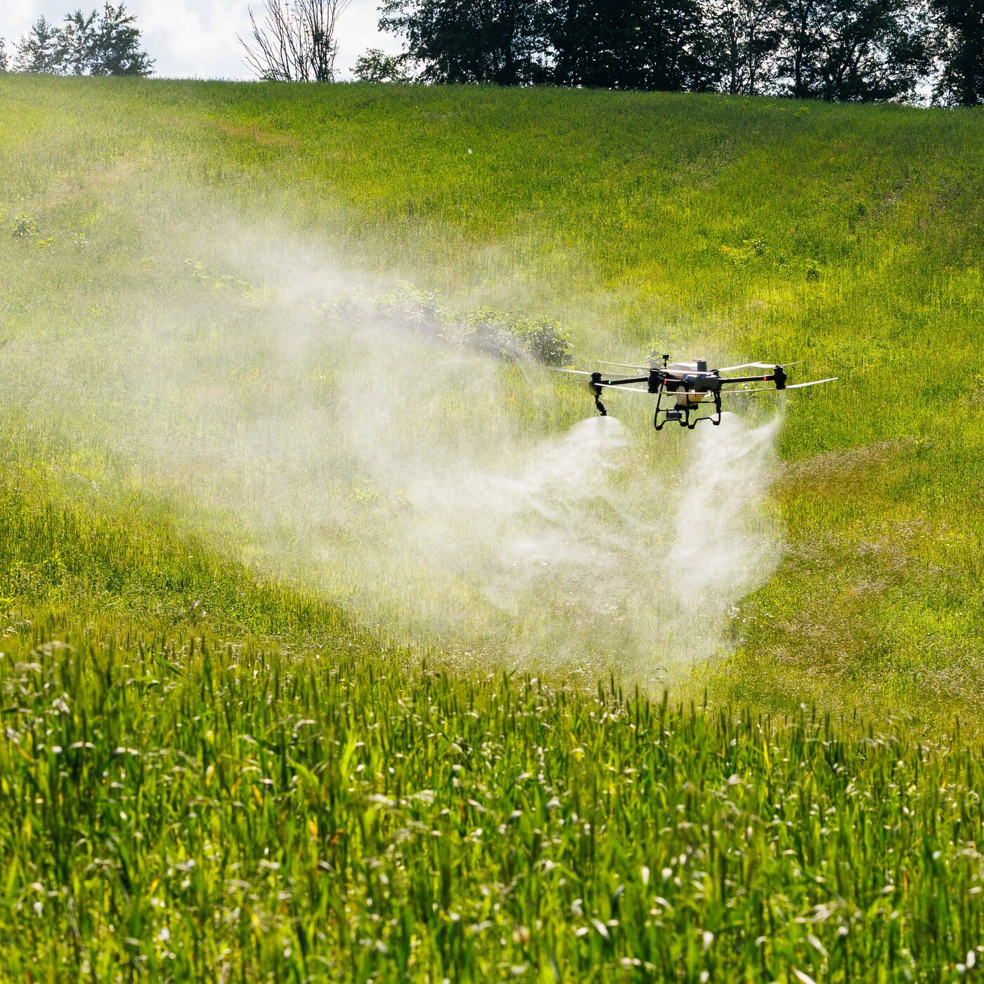 DJI T50 Drone