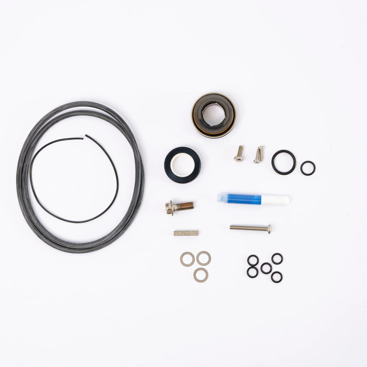 Pump Repair Kit