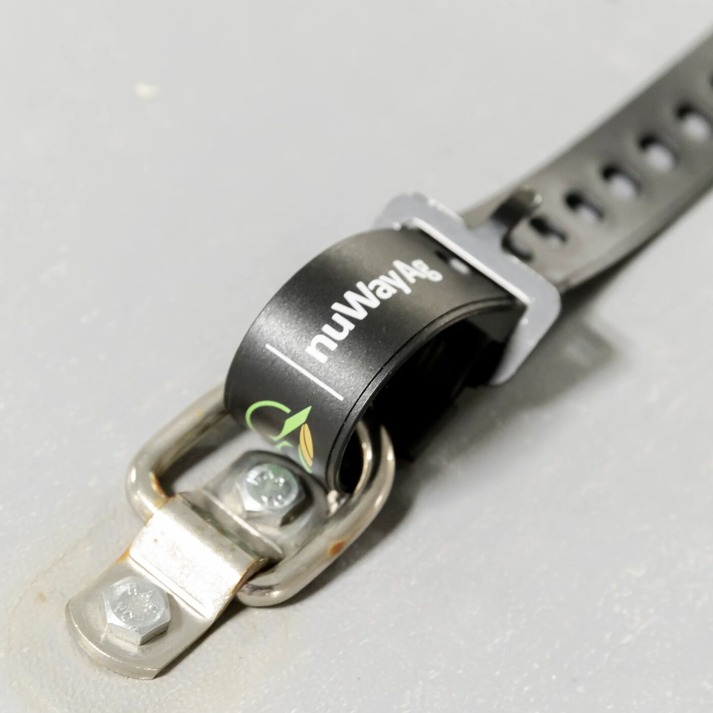 20" Beta Tie-Down Strap