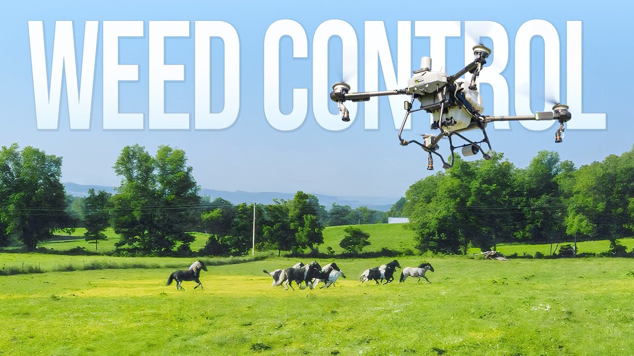 Spraying Beans with Agricultural Drones: A Day in the Field
