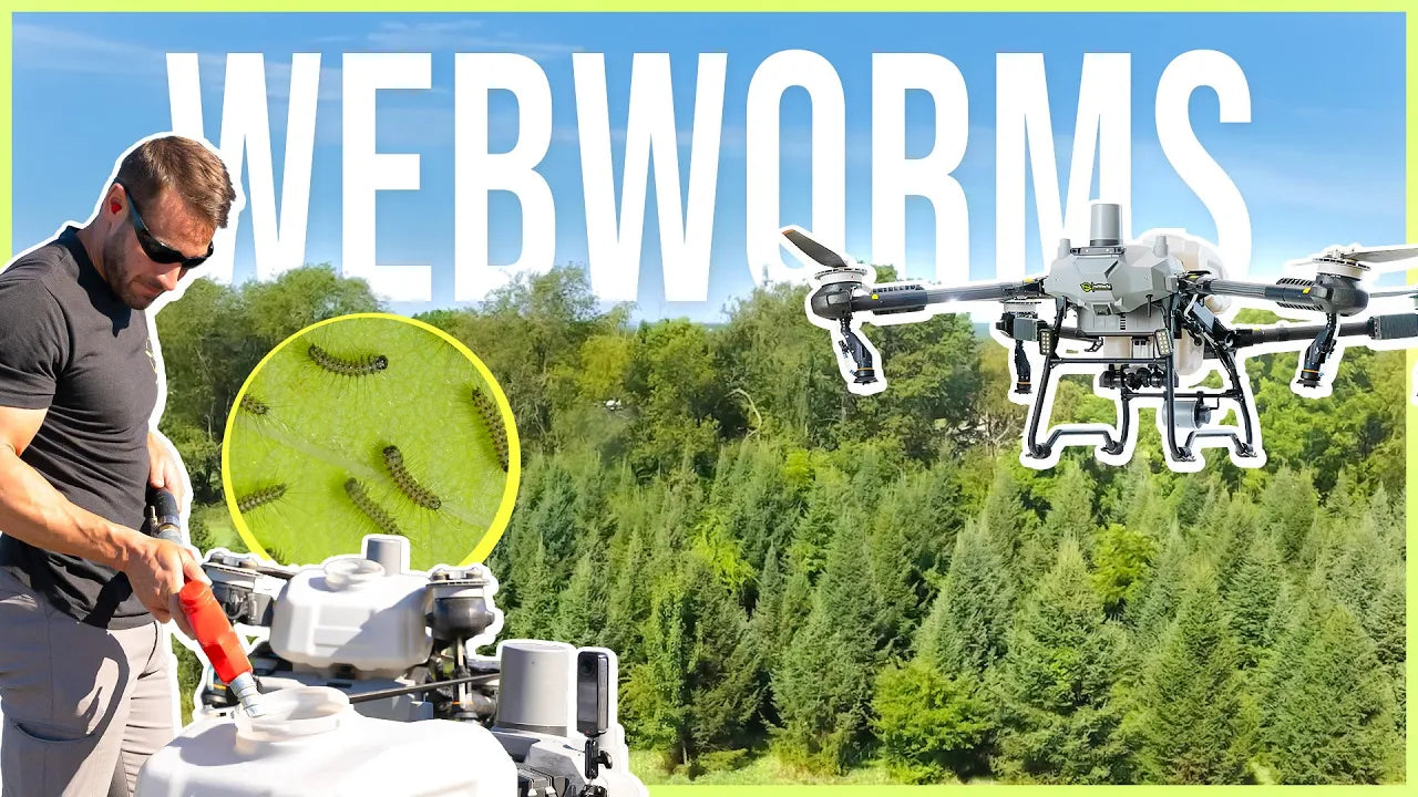 Revolutionizing Tree Care: How Drones Tackle WebWorms on Canaan Firs