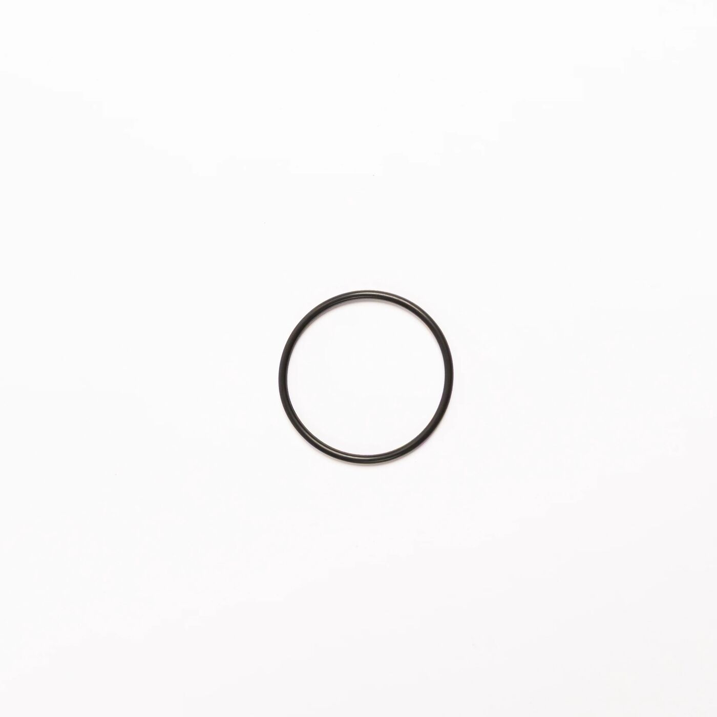 Pump Sealing Ring (T60X)