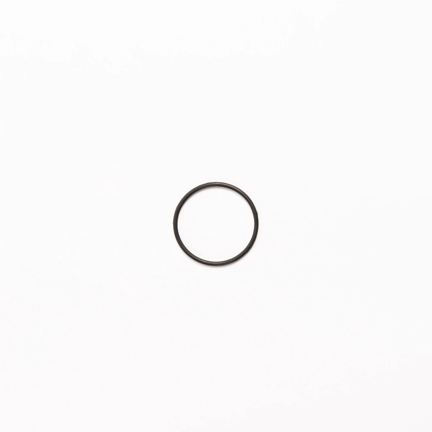 Sealing Ring (OD=31.4 mm) (T60X)